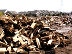 Firewood selection in Michigan